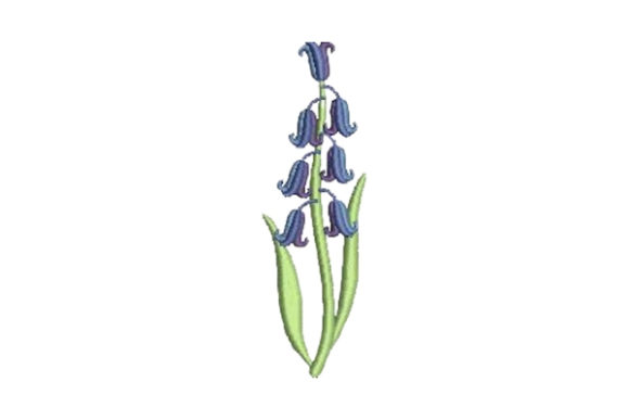 Bluebell: A Fresh Floral for Seasonal Embroidery