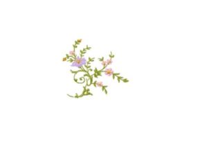 Floral: A Designer’s Review for Seasonal Products