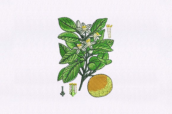 Floral Vines Orange: A Designer’s Review